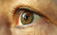 DMLA : Quand s’inquiéter et comment se traiter ? © Fotolia