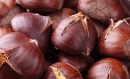 L’équilibre alimentaire et le cancer