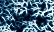 © DeVIce - Fotolia.com