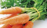 L'équilibre alimentaire des bébés et la prévention des allergies