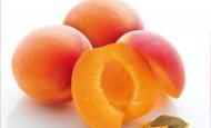 Fiche conseils: L'équilibre alimentaire et les petits maux de l'été © Giropharm