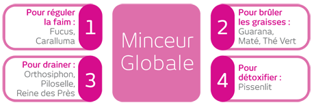 minceur globale : fucus, caralluma, orthosiphon, piloselle, reine des près, guarana, maté, thé vert, pissenlit minceur globale : fucus, caralluma, orthosiphon, piloselle, reine des près, guarana, maté, thé vert, pissenlit