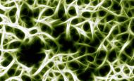 structure de l'os © DeVIce - Fotolia.com