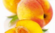 L'équilibre alimentaire et les maux de l'été