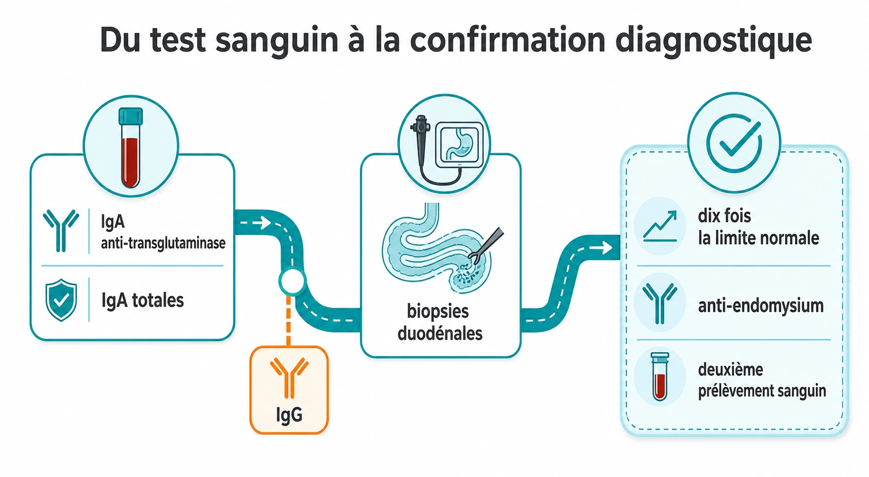 Feuille de route diagnostique montrant la succession des tests sérologiques, l’option de biopsies duodénales et les critères stricts permettant un diagnostic sans biopsie.