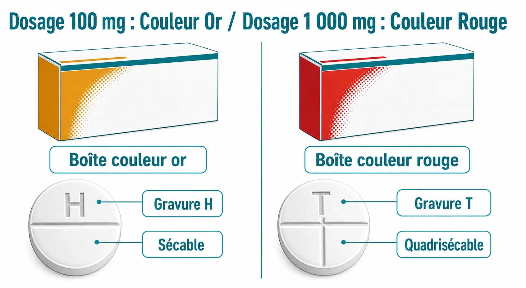 Comparaison en deux colonnes des repères visuels : boîte or et gravure H pour 100 mg ; boîte rouge, gravure T et quadrisécabilité pour 1 000 mg.