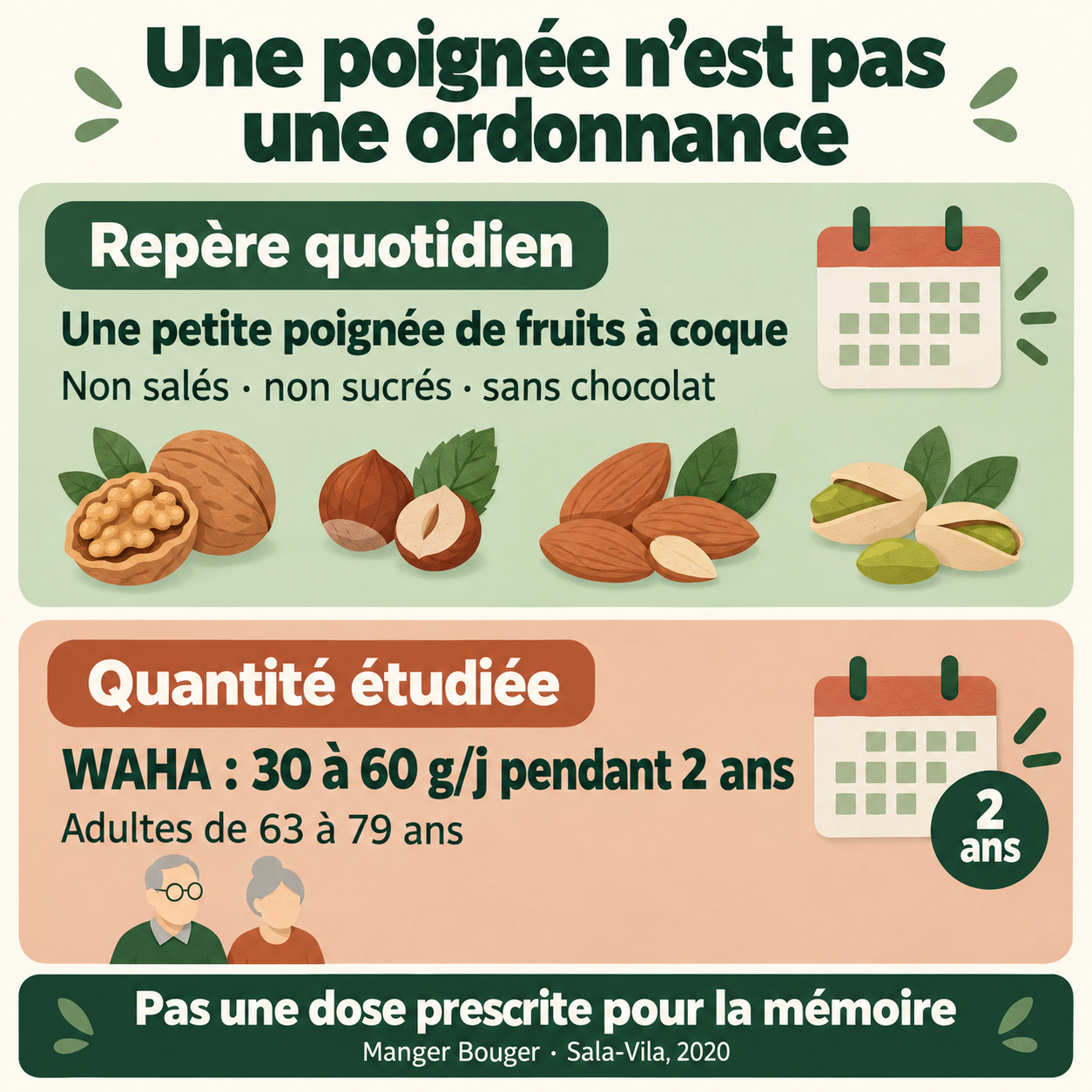 La petite poignée quotidienne de fruits à coque est un repère alimentaire ; les 30 à 60 g de WAHA décrivent une quantité étudiée, pas une dose pour la mémoire.