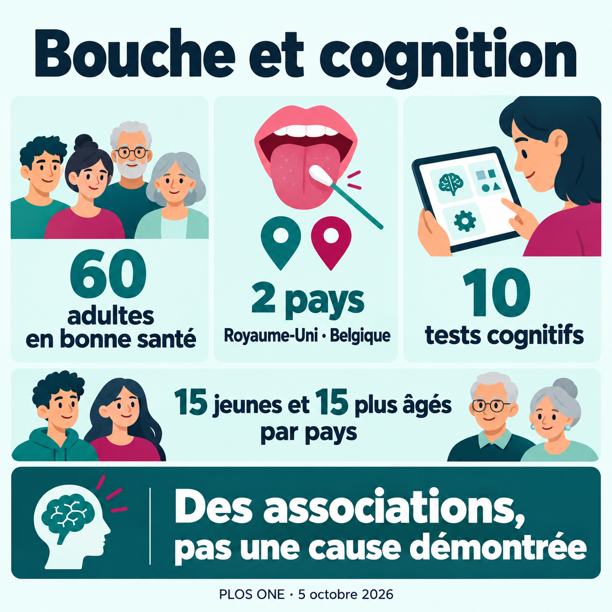 Étude sur 60 adultes en bonne santé au Royaume-Uni et en Belgique : 15 jeunes et 15 plus âgés par pays, 10 tests cognitifs, des associations et non une cause démontrée.