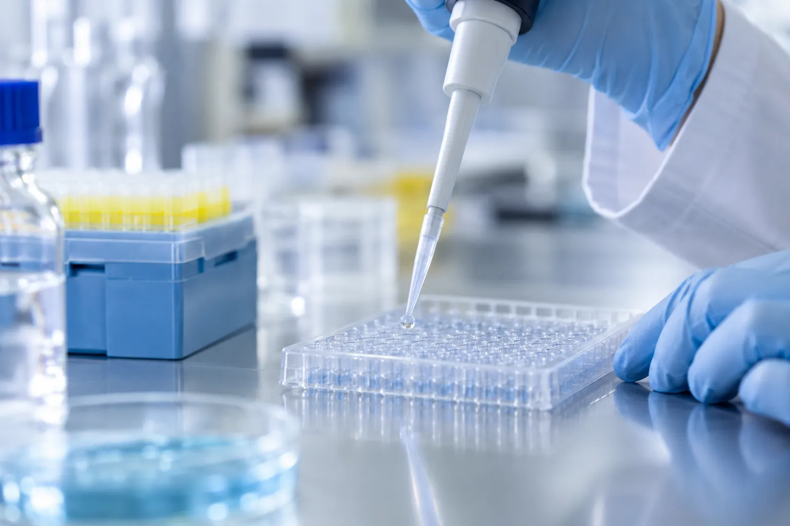 Main gantée utilisant une micropipette au-dessus d'une plaque de laboratoire.