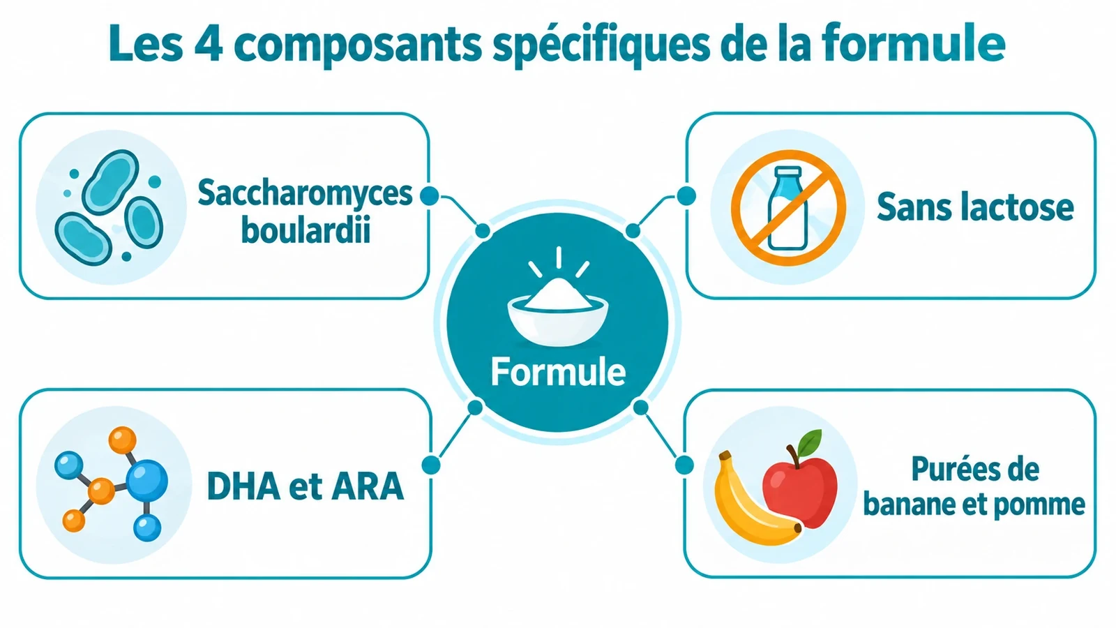 Schéma technique décomposant la formule NovaBiotic en quatre éléments : Saccharomyces boulardii, base sans lactose, DHA et ARA, purées de banane et pomme